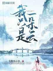 我只是一朵云小说
