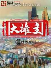 大摊主小说