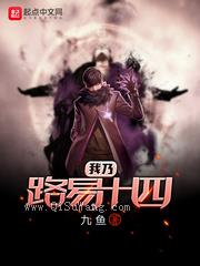 我乃路易十四小说