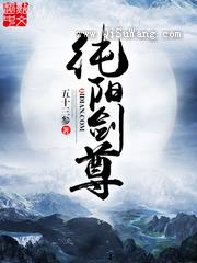 纯阳剑尊小说