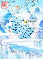 尊宠小说