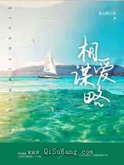 相爱谋略小说