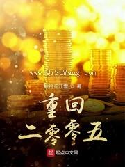 重回二零零五小说