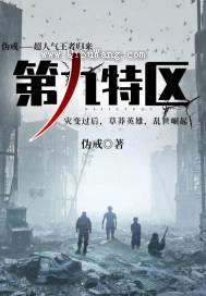第九特区小说