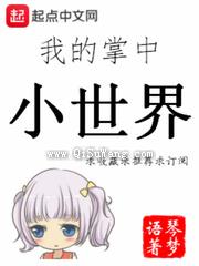 我的掌中小世界小说