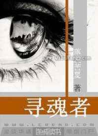 寻魂者小说