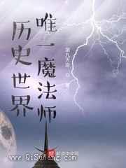 历史世界唯一魔法师小说