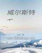 威尔斯特小说