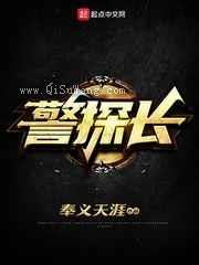 警探长小说