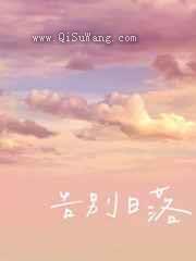 告别日落小说