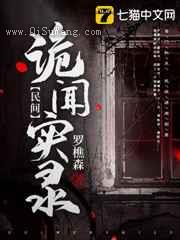 民间诡闻实录小说