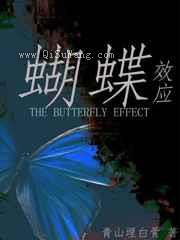 蝴蝶效应小说