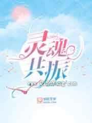 灵魂共振小说