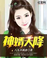 神婿天降小说