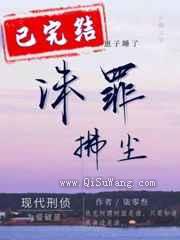 诛罪拂尘小说