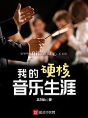 我的硬核音乐生涯小说