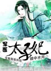 军医太子妃小说