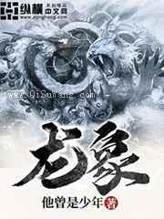 龙象小说