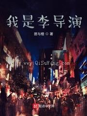 我是李导演小说