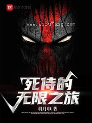 死侍的无限之旅小说