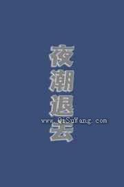 夜潮退去小说