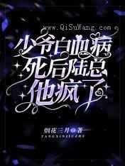 少爷白血病死后，陆总他疯了小说