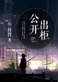 公开出柜小说