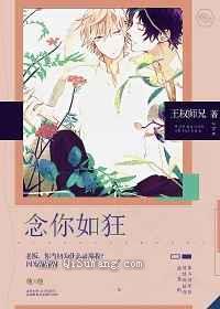 念你如狂小说