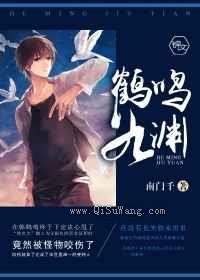 鹤鸣九渊小说