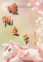 暖阳之下小说