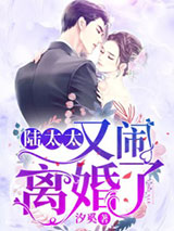 陆太太又闹离婚了小说