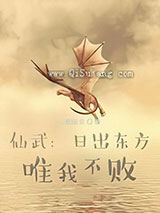 仙武：日出东方，唯我不败小说