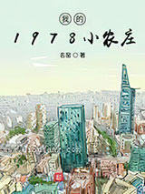 我的1978小农庄小说