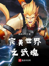 完美世界之武魂小说