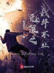 无限之战斗不止小说