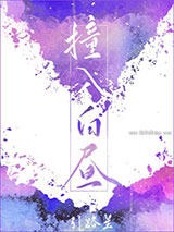 撞入白昼小说