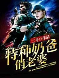 奶爸兵王小说