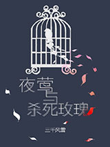 夜莺与杀死玫瑰小说