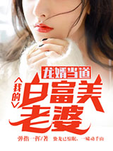 龙婿当道：我的白富美老婆小说