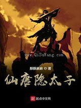 武唐仙小说