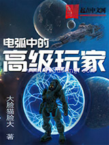 电弧中的高级玩家小说
