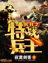 抗日之特战兵王小说