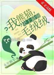 我，熊猫，史上最强毛绒绒小说
