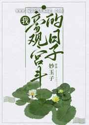 我旁观宫斗的日子小说