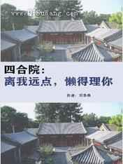 四合院：离我远点，懒得理你小说