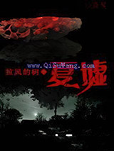 夏墟小说