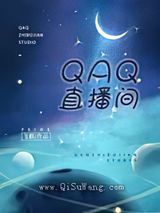 QAQ直播间小说