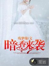 暗香来袭小说