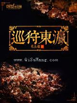 巡狩东瀛小说
