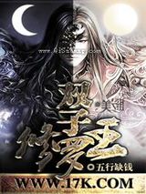 双子修罗王小说